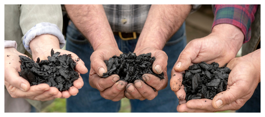 Exploring Biochar Synergies